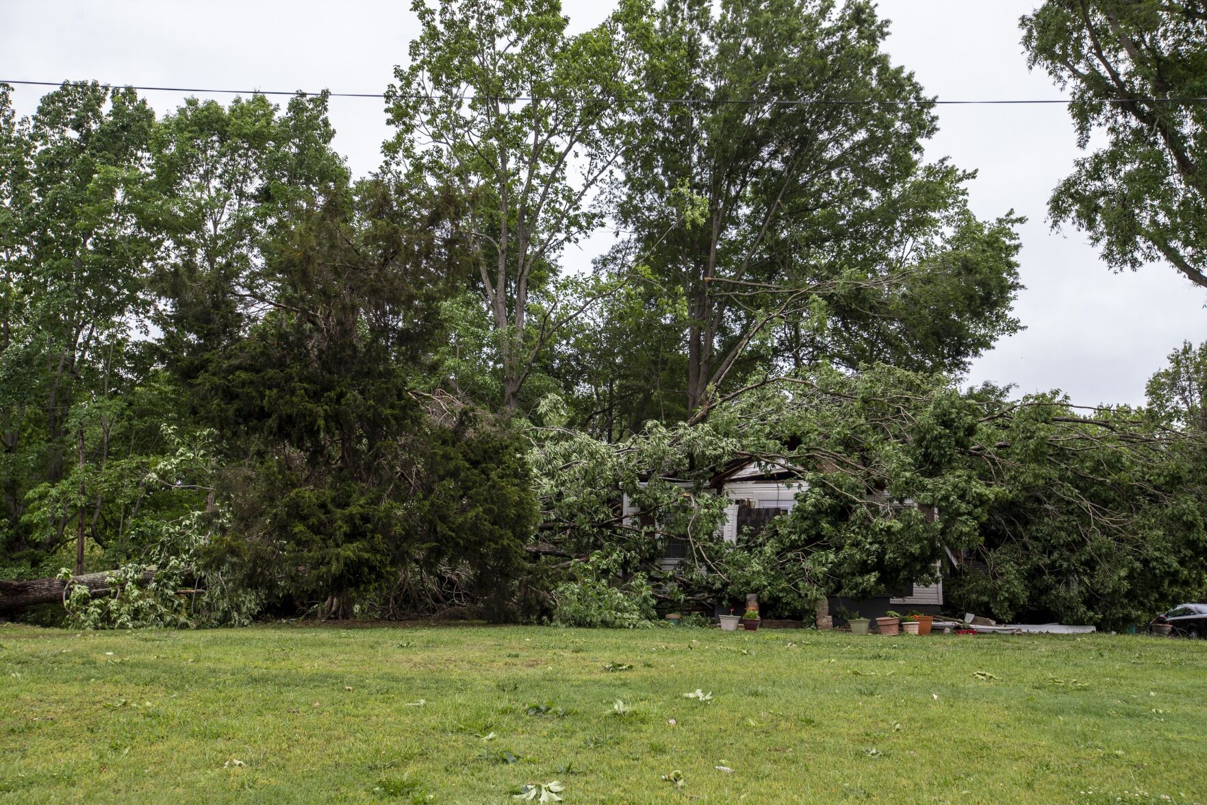 Wentworth Tornado